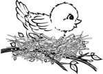 Free Stock Photo: Illustration of a baby bird in a nest on a branch