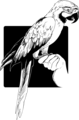 Free Stock Photo: Illustration of a parrot perched on a hand