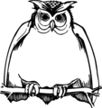 Free Stock Photo: Illustration of a fat owl perched on a branch