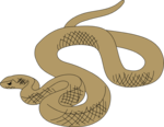 Free Stock Photo: Illustration of a brown snake