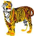 Free Stock Photo: Illustration of a tiger