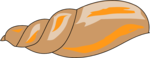 Free Stock Photo: Illustration of a sea shell