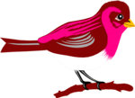 Free Stock Photo: Illustration of a finch perched on a branch