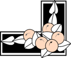 Free Stock Photo: Illustration of a lower right frame corner with berries