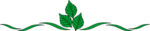 Free Stock Photo: Illustration of a green leaf border design