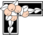 Free Stock Photo: Illustration of an upper left frame border