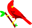 Free Stock Photo: Illustration of a red cardinal perched on a branch