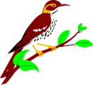 Free Stock Photo: Illustration of a brownish red thrush