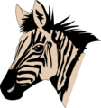 Free Stock Photo: Illustration of a zebra head
