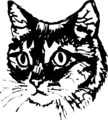 Free Stock Photo: Illustration of a cat face
