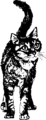 Free Stock Photo: Illustration of a cat