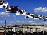 Free Stock Photo: US Flags