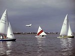 Free Stock Photo: Sailboats on the ocean