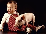 Free Stock Photo: A baby and a pig