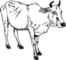 Free Stock Photo: Illustration of a cow