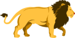 Free Stock Photo: Illustration of a lion