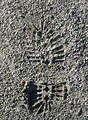 Free Stock Photo: Closeup of a shoe print in sand