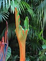 Free Stock Photo: A glass sculpture among tropical foliage at the Atlanta Botanical Garden
