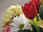 Free Stock Photo: Closeup of a flower bouquet