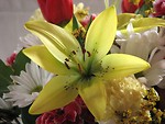 Free Stock Photo: Closeup of a flower bouquet
