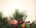 Free Stock Photo: A plastic fruit and pine needle display