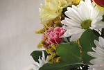 Free Stock Photo: Closeup of a flower bouquet
