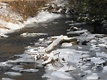 Free Stock Photo: Snow and ice on the edge of a stream.