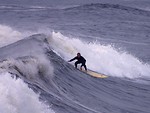 Free Stock Photo: A surfer riding a wave in the ocean