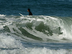 Free Stock Photo: A man surfing in the ocean