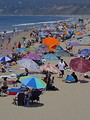 Free Stock Photo: A crowd of people under umbrellas at the beach