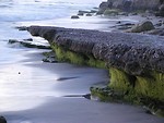 Free Stock Photo: Rocks on a beach by the ocean