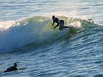 Free Stock Photo: Men surfing in the ocean