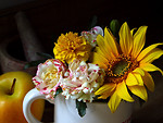 Free Stock Photo: A small bouquet of flowers in a cup