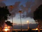 Free Stock Photo: Palm trees on a beach at sunset