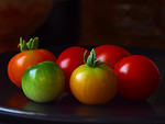 Free Stock Photo: A group of small tomatoes