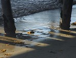Free Stock Photo: Pier supports on a beach by the ocean