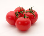 Free Stock Photo: Red tomatoes isolated on a white background