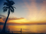 Free Stock Photo: People in the water at a beach at sunset