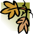 Free Stock Photo: Illustration of an upper right frame corner of leaves