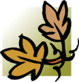 Free Stock Photo: Illustration of a lower right frame corner with leaves