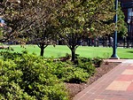 Free Stock Photo: Olympic Park in Atlanta