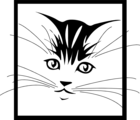 Free Stock Photo: Illustration of a kitten face