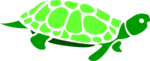 Free Stock Photo: Illustration of a green turtle