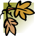 Free Stock Photo: Illustration of an upper left frame corner of leaves