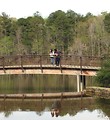 Free Stock Photo: A man and woman standing on a bridge over a pond
