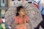 Free Stock Photo: A young Asian girl with an umbrella