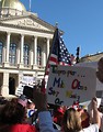 Free Stock Photo: Protest flags and signs in front of the State Capitol building at the 2009 tax day tea party in Atlanta, Georgia