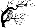 Free Stock Photo: Illustration of an owl in a tree in front of the moon