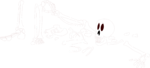 Free Stock Photo: Illustration of a skeleton in pieces