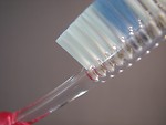 Free Stock Photo: Closeup of a toothbrush